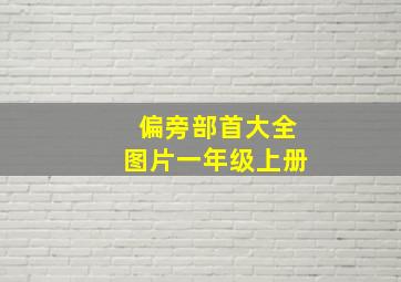 偏旁部首大全图片一年级上册