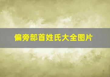 偏旁部首姓氏大全图片