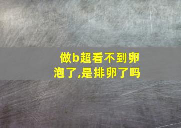 做b超看不到卵泡了,是排卵了吗