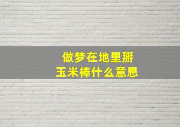 做梦在地里掰玉米棒什么意思