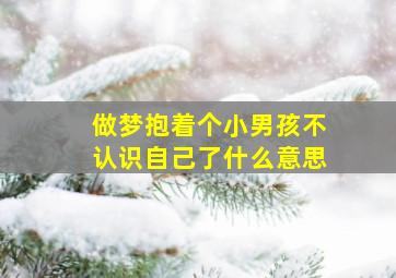 做梦抱着个小男孩不认识自己了什么意思