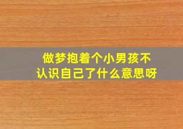 做梦抱着个小男孩不认识自己了什么意思呀