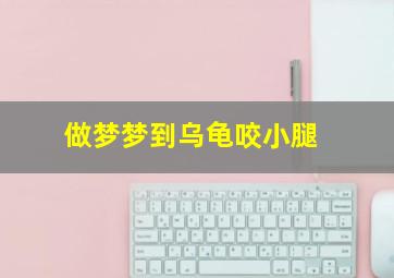 做梦梦到乌龟咬小腿