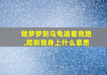 做梦梦到乌龟追着我跑,爬到我身上什么意思