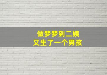 做梦梦到二姨又生了一个男孩