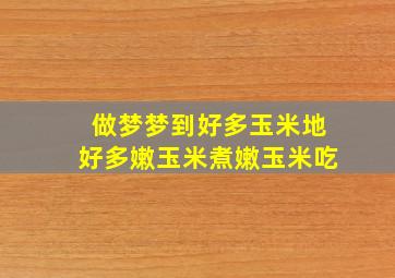 做梦梦到好多玉米地好多嫩玉米煮嫩玉米吃