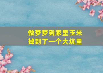 做梦梦到家里玉米掉到了一个大坑里