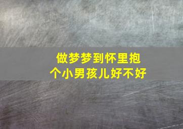 做梦梦到怀里抱个小男孩儿好不好