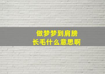 做梦梦到肩膀长毛什么意思啊