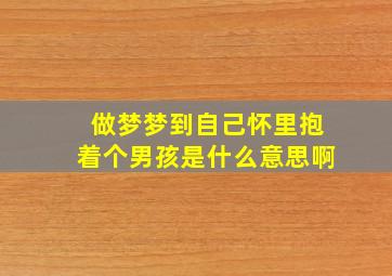 做梦梦到自己怀里抱着个男孩是什么意思啊