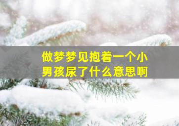 做梦梦见抱着一个小男孩尿了什么意思啊