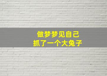 做梦梦见自己抓了一个大兔子