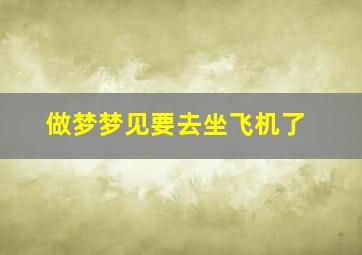 做梦梦见要去坐飞机了