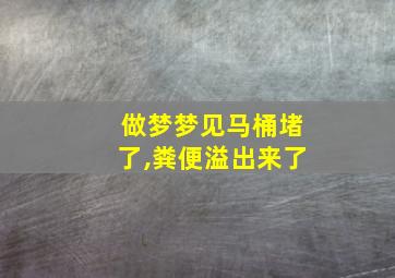 做梦梦见马桶堵了,粪便溢出来了