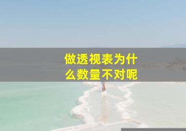 做透视表为什么数量不对呢