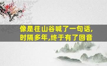 像是往山谷喊了一句话,时隔多年,终于有了回音