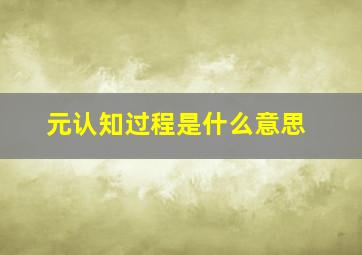 元认知过程是什么意思