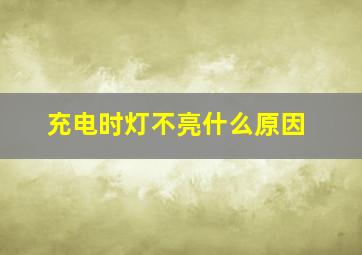 充电时灯不亮什么原因