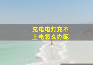 充电电灯充不上电怎么办呢