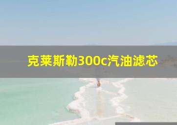 克莱斯勒300c汽油滤芯