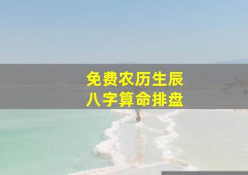 免费农历生辰八字算命排盘