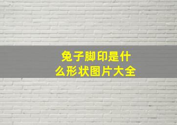 兔子脚印是什么形状图片大全