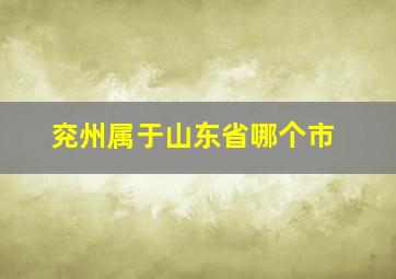 兖州属于山东省哪个市