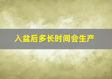 入盆后多长时间会生产