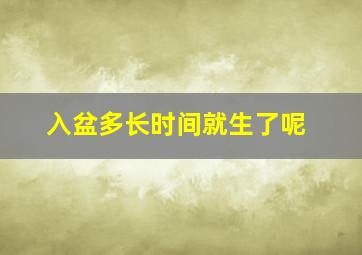 入盆多长时间就生了呢