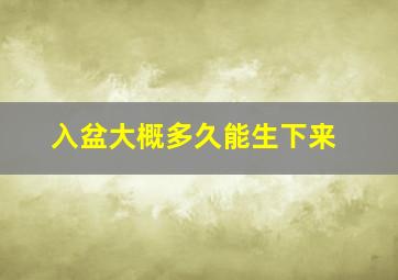 入盆大概多久能生下来