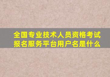 全国专业技术人员资格考试报名服务平台用户名是什么