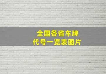 全国各省车牌代号一览表图片