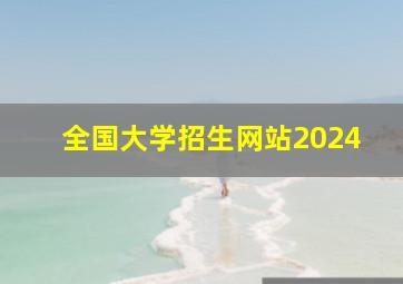 全国大学招生网站2024