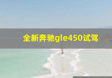 全新奔驰gle450试驾