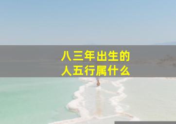 八三年出生的人五行属什么