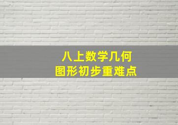 八上数学几何图形初步重难点