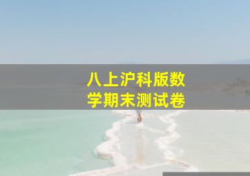 八上沪科版数学期末测试卷