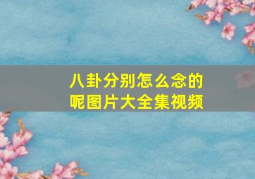 八卦分别怎么念的呢图片大全集视频