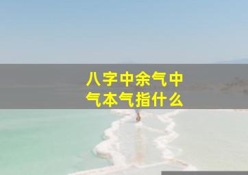 八字中余气中气本气指什么