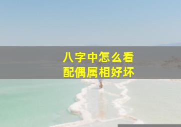 八字中怎么看配偶属相好坏