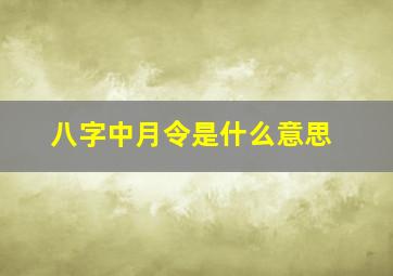 八字中月令是什么意思