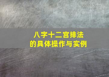 八字十二宫排法的具体操作与实例