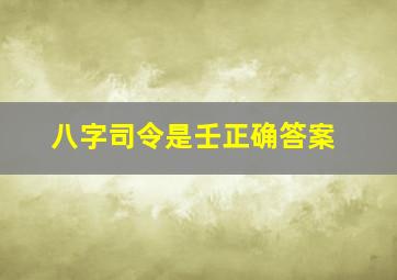 八字司令是壬正确答案