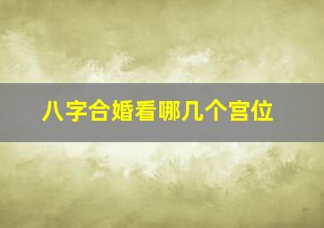 八字合婚看哪几个宫位