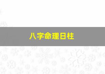 八字命理日柱