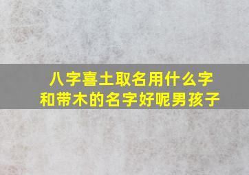 八字喜土取名用什么字和带木的名字好呢男孩子