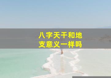 八字天干和地支意义一样吗