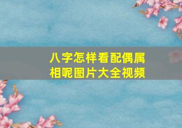 八字怎样看配偶属相呢图片大全视频