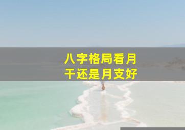 八字格局看月干还是月支好