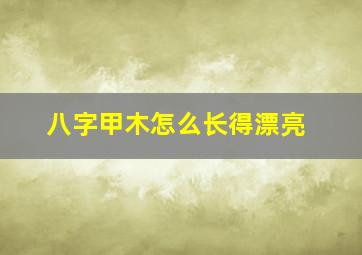 八字甲木怎么长得漂亮